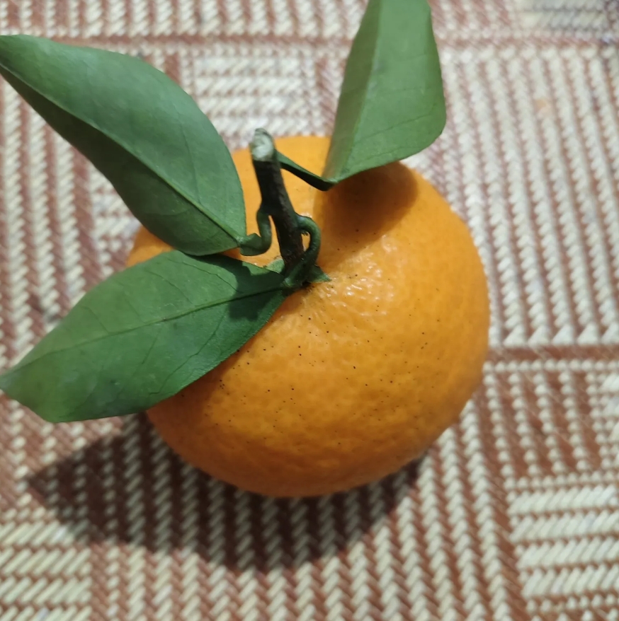 昨天，儿子打电话说他们一家过年去他丈母娘家，挂了电话，我长长的舒了一口气，感觉心