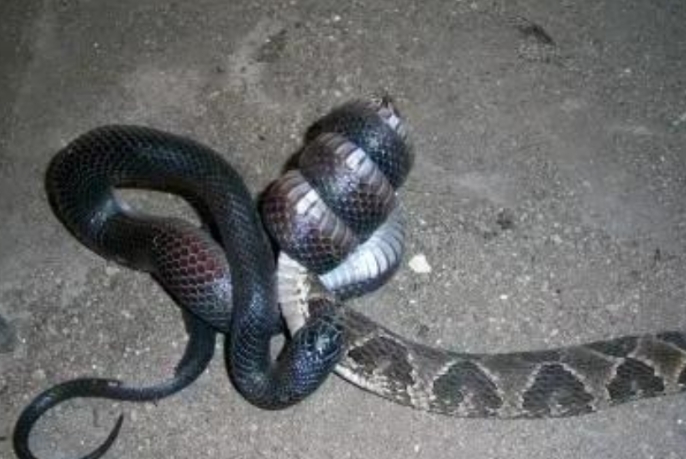 
不寒而栗！湖北十堰，一男子当时正他在隔壁邻居家里玩因为已经很晚了，所以他就回家