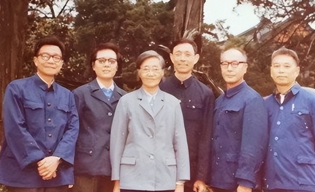 1960年，北大才女王承书抛下丈夫孩子，消失无踪。17年后，白发苍苍的她归来，儿