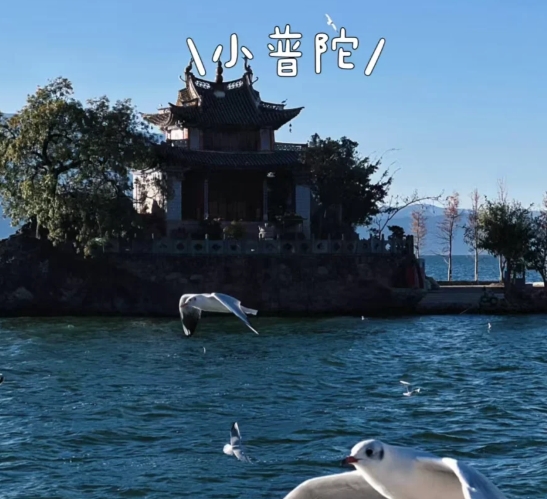 云南既省钱又省心的攻略