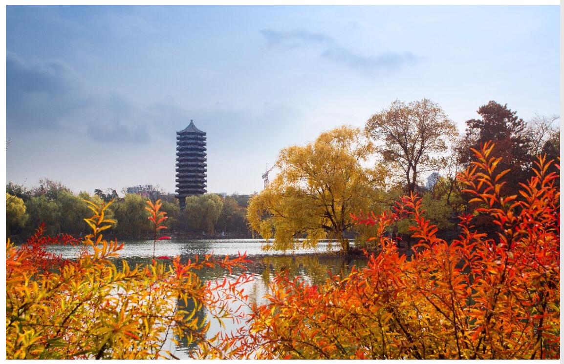 北京大学“强基计划”共招多少人呢?据了解，北京大学“强基计划”共招900人。其中
