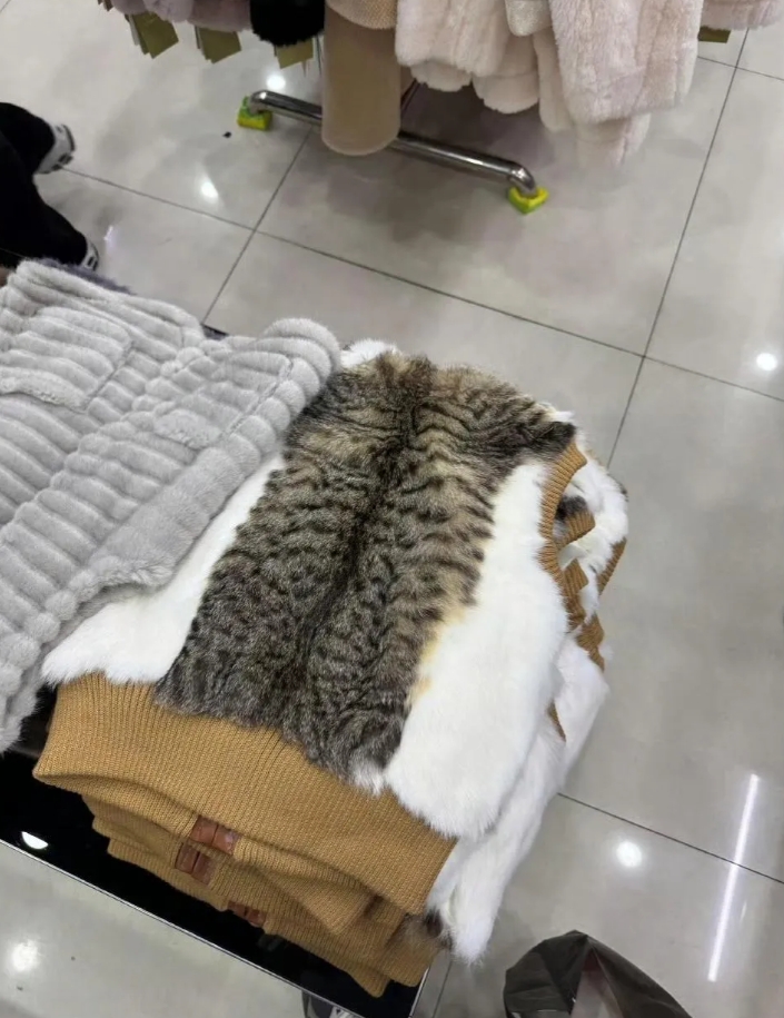 在商场看到的狸花猫皮衣服，瞬间感觉整个人都不好了