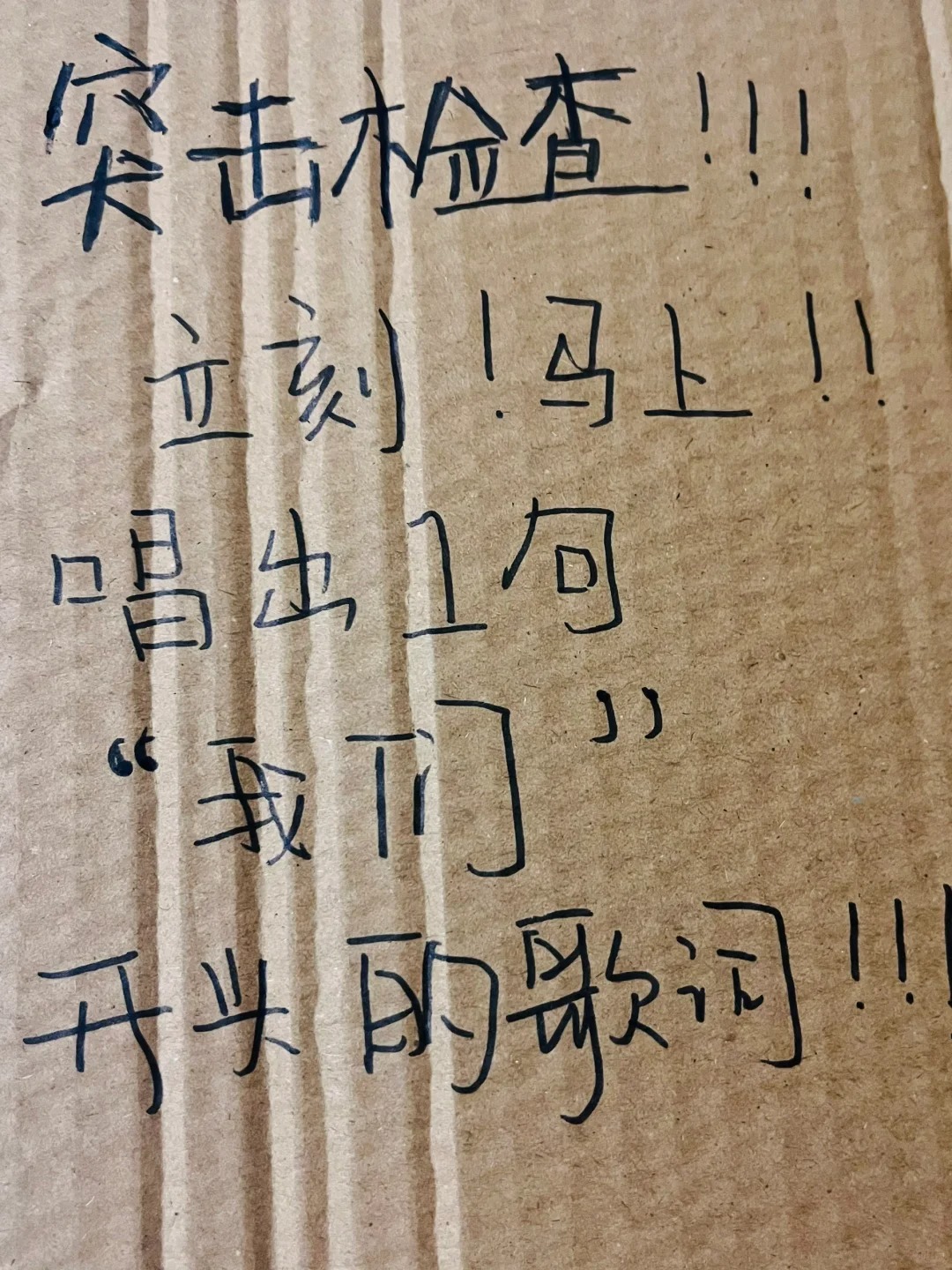 突击检查，立刻唱一句“我们”开头的歌词！
突击检查❕立刻马上❕唱出1⃣️句“我们