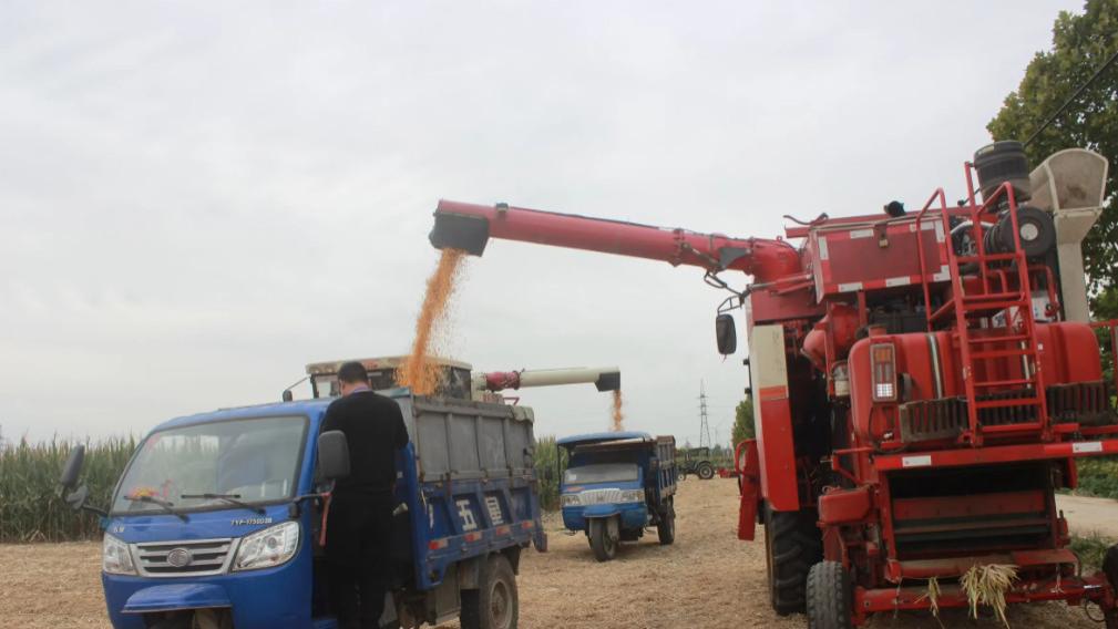 （文学天地）爱心奉献