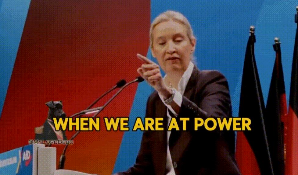 1月13日，德国右翼党，德国的选择党的总理候选人，爱丽丝·魏德尔承诺，如果她赢得