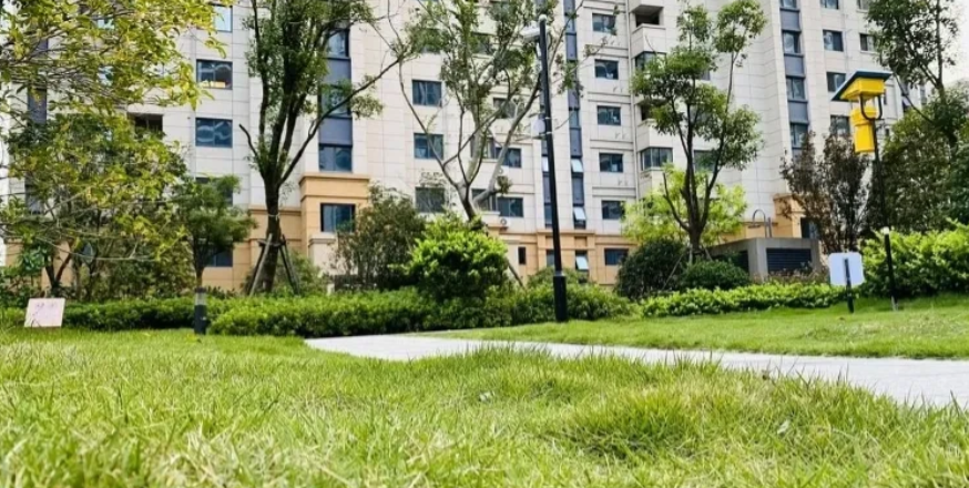 四川，怀孕6个月的女子后去买菜，却看到老公和情人在车里拥吻，她惊恐间出了车祸。胎