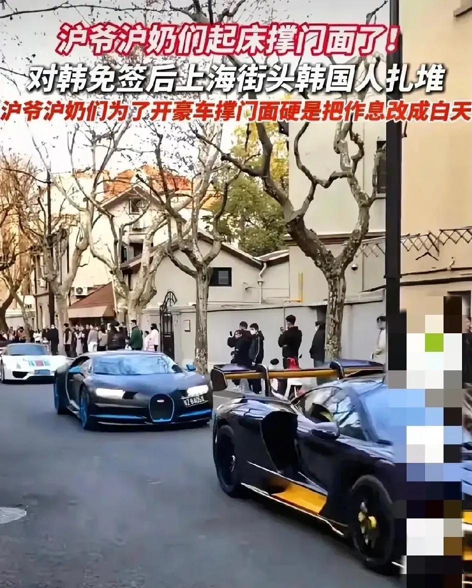 韩国游客一句上海没有跑车，沪爷沪奶们改作息时间，大白天把超跑开到街上撑门面。
对