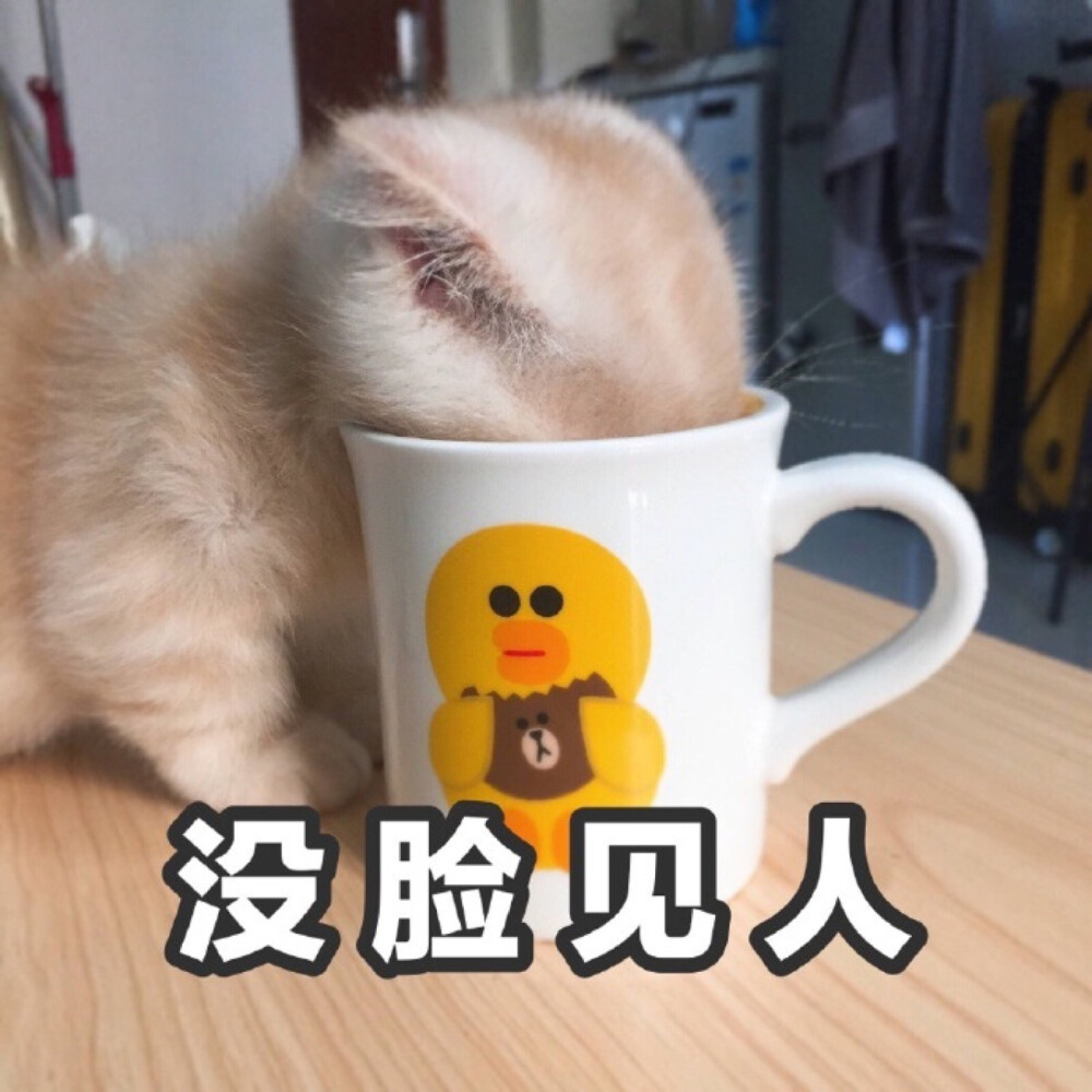 进入社会最开心的就是找到工作那天，和离职那天。