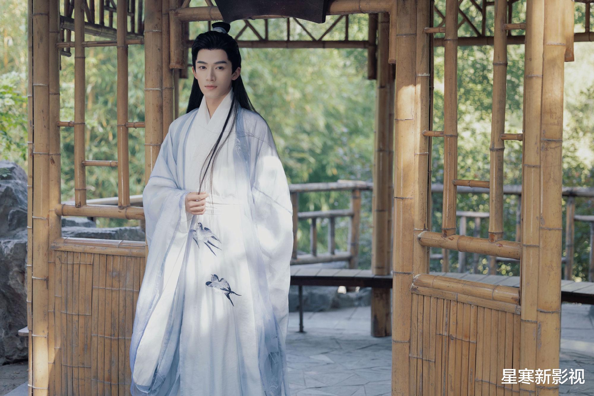 杨紫新剧《家业》阵容再生变动，许凯确定不演，新男主人选很惊喜（杨紫家有儿女角色被替换采访）-第8张图片-九妖电影