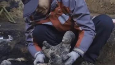 陕西挖出汉文帝女儿墓，大墓的形制全国首见，墓中文物数不胜数