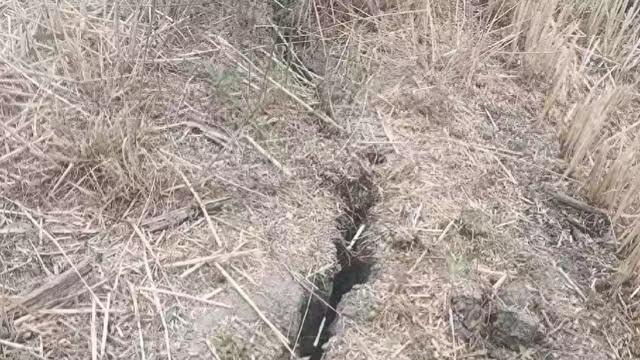 抗旱求雨，大地重生：华北平原迎来及时降雨