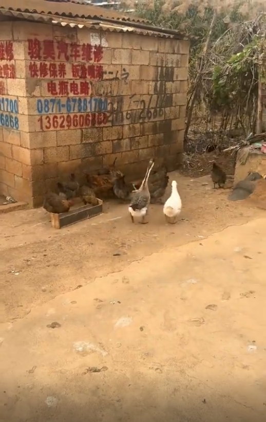 这地板可真地板啊