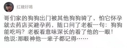 老板在想：为什么你连狗都不放过？