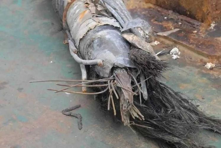中方船只切断爱沙尼亚电缆？要求中方彻查，必须给自己一个交代。由于爱沙尼亚在六个月