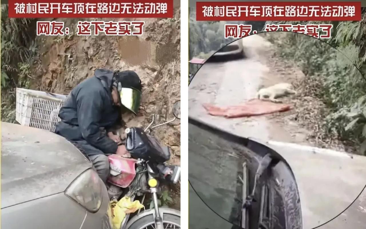 闹大了，事发广东，一偷狗贼进村偷狗栽大跟头了，被发现后骑摩托车疯狂逃窜，无奈两轮