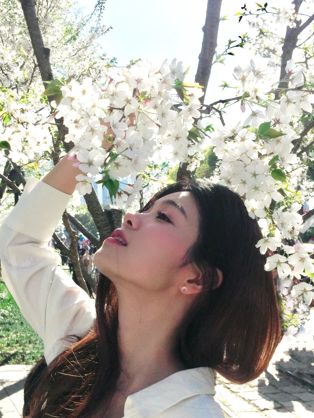 上海🌸樱花下的约会