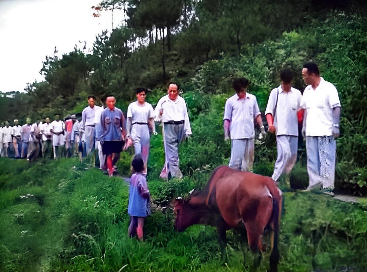 1959年6月25日，离开韶山老家已经三十二年的毛主席回到家乡。毛主席拄着拐杖前