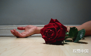 丈夫弑子杀妻只为白月光