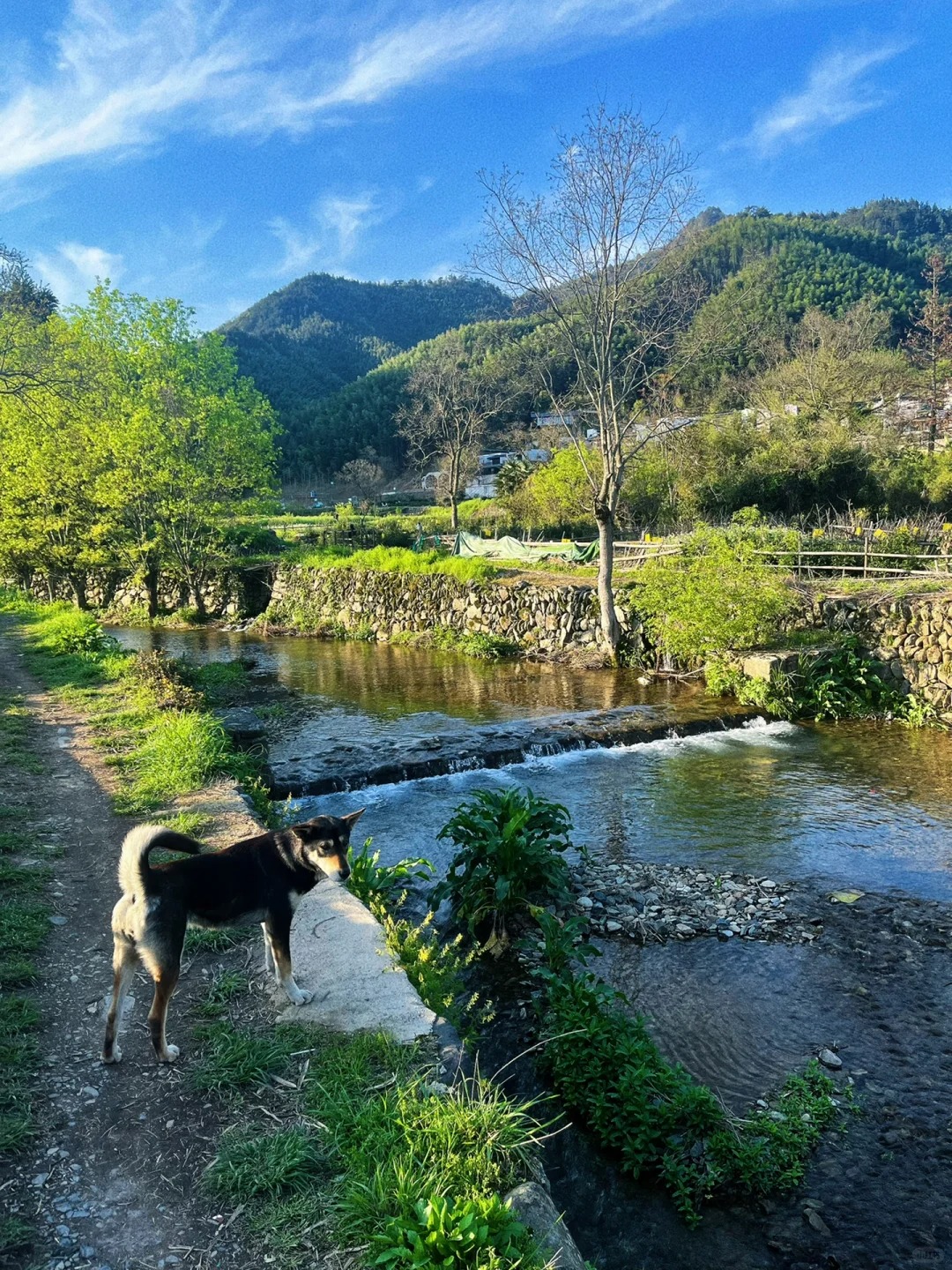 比起宏村，我更爱这几个宝藏村子
1️⃣宏村：一进门就是南湖，天气好的时候可以拍出