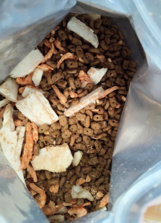 猫确实不适合穷人饲养。

小区周边有许多流浪猫，女儿常常拉着我去喂食，之后就在网