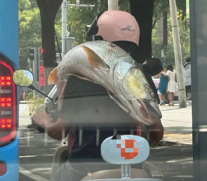 当钓鱼佬钓到大鱼后