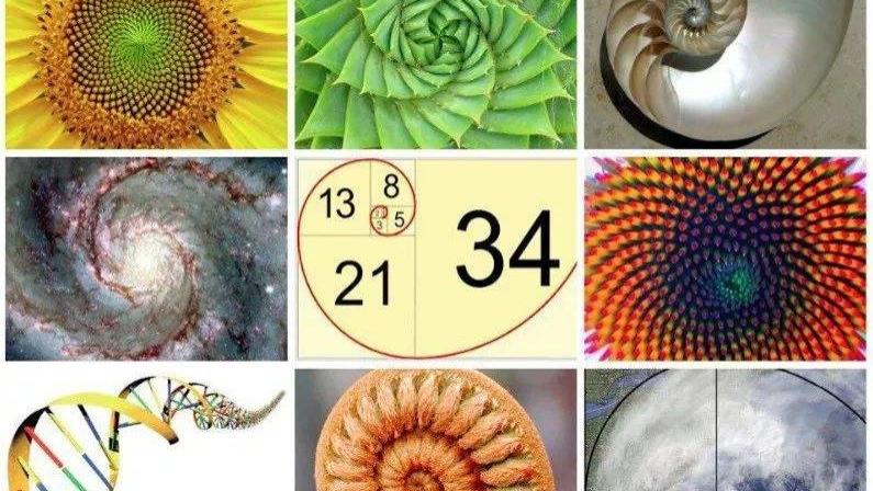 首次发现！黄金分割藏在八卦中，中天图打开了易学是科学的魔盒