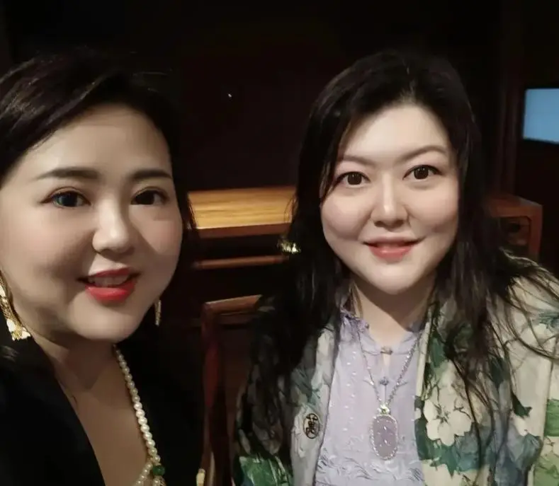 当年，21岁的陈岚对已婚的向华强一见钟情，向华强的妻子丁佩知道后，马上就做出了一