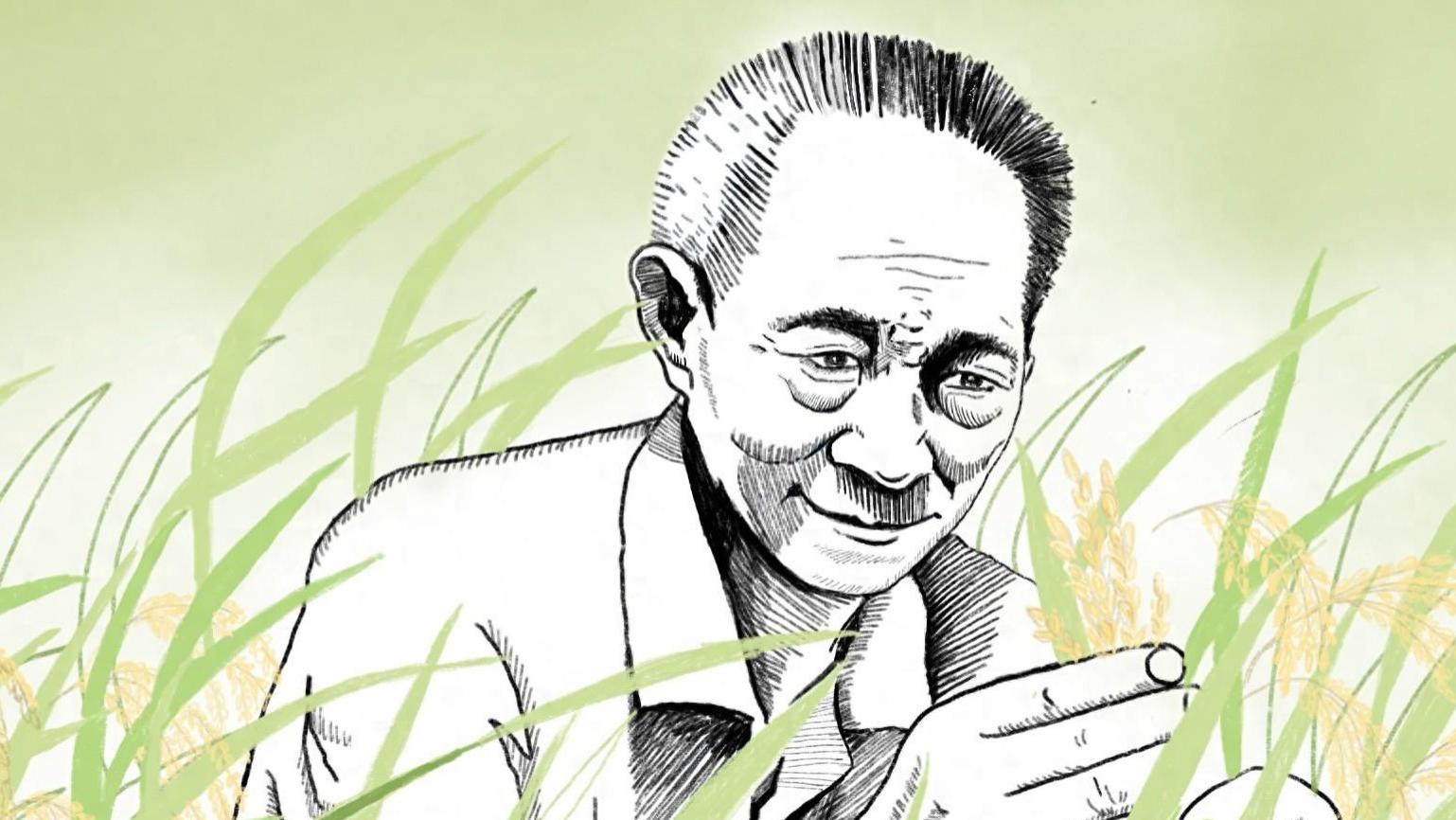 科技赋能农业：杂交水稻双季亩产再创新高，坚实守护“中国饭碗