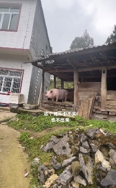 是什么困住了它