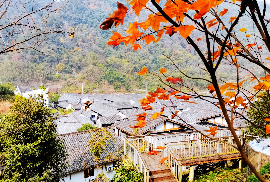 接下来的宁波四明山，是这样的