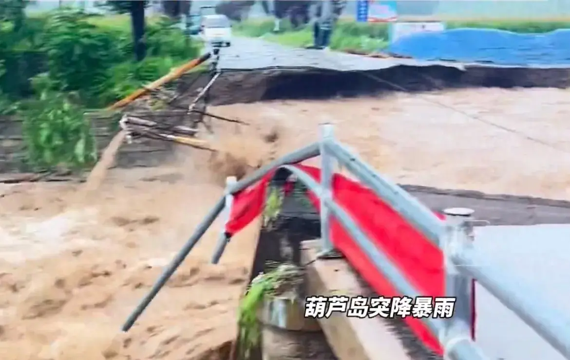 痛心！在辽宁葫芦岛，因为一场暴雨，一个村的书记在救了3个孩子之后自己却溺水身亡了