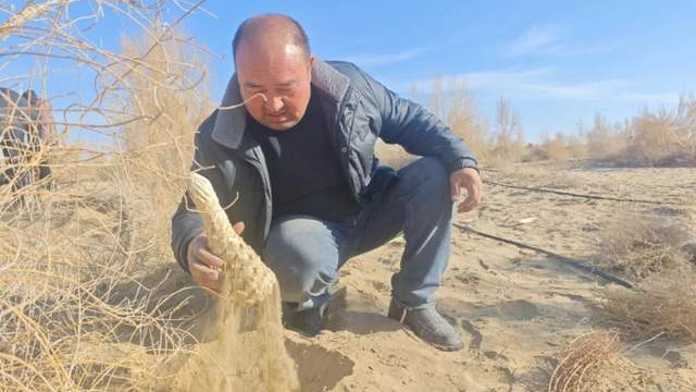 卡迪尔·吾斯曼：5年坚守把沙漠变成“绿色银行”