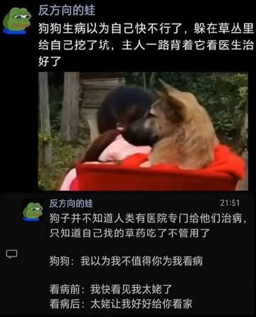 小狗生病以为自己快不行了 ​