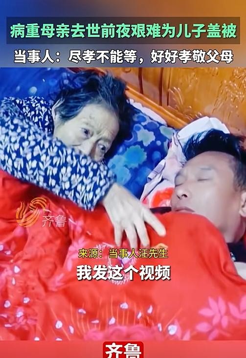 母爱是生命中最纯粹、无私且无条件的爱，无论何时何地，它始终如一，直至生命的尽头。