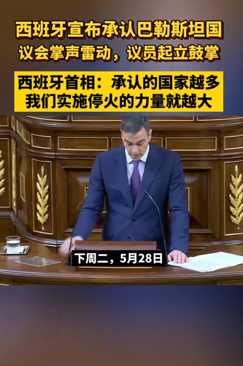 虽然这并不足以让巴勒斯坦一蹴而就获得真正的国家实体,但却展示了国际社会对其冀望已