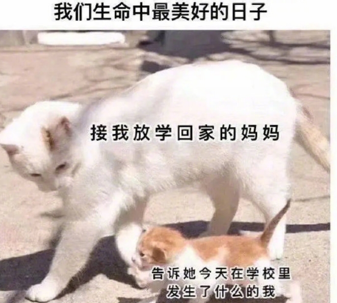 我们生命中最美好的日子