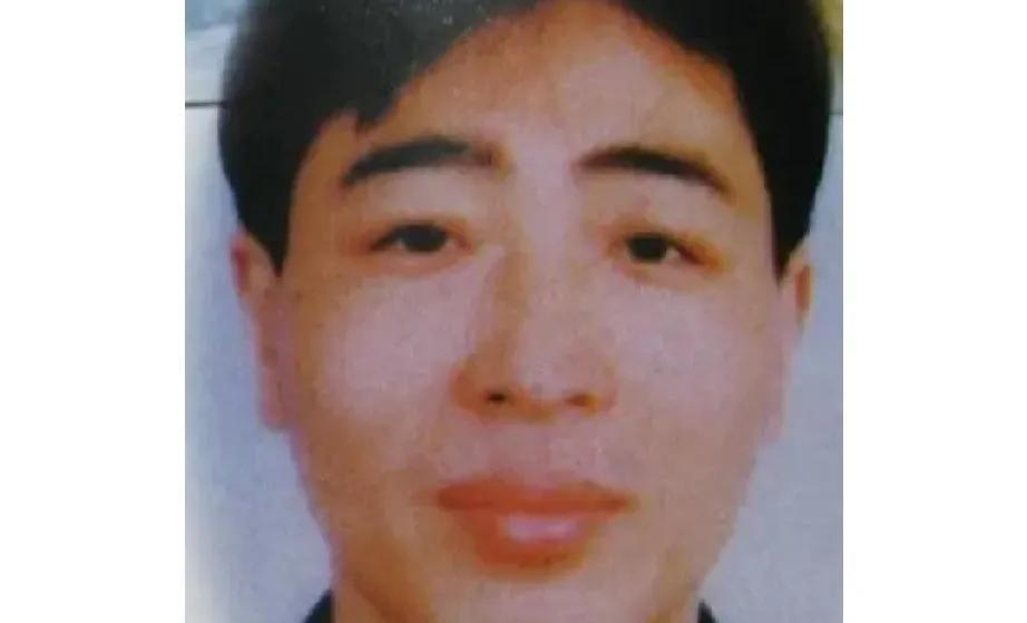 1996年，京城发生了一系列持枪抢劫案。罪犯鹿宪洲曾在云南服役，后因盗窃入狱又越