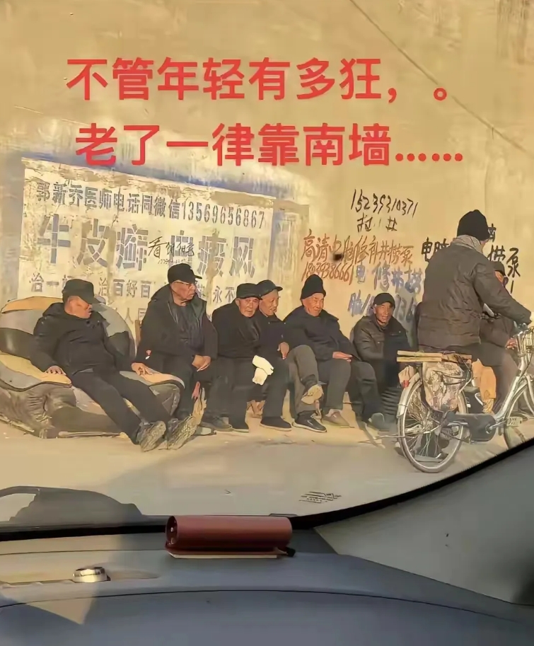 不管年轻有多狂，老了一律靠南墙，各位诗人，下面两句由你们来补充成首诗?
