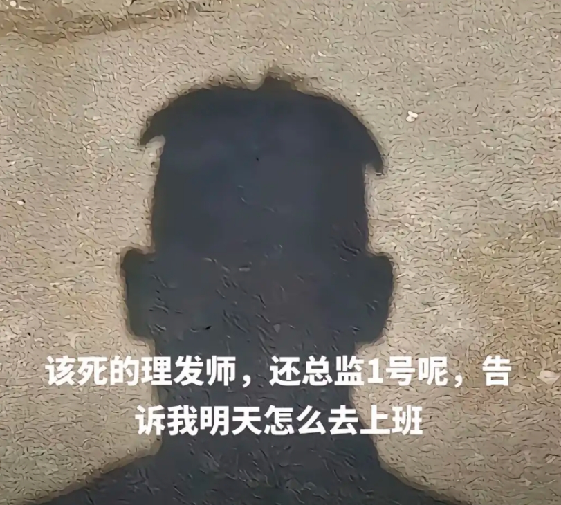 我大概知道你的发型是什么样子的，哈哈哈。