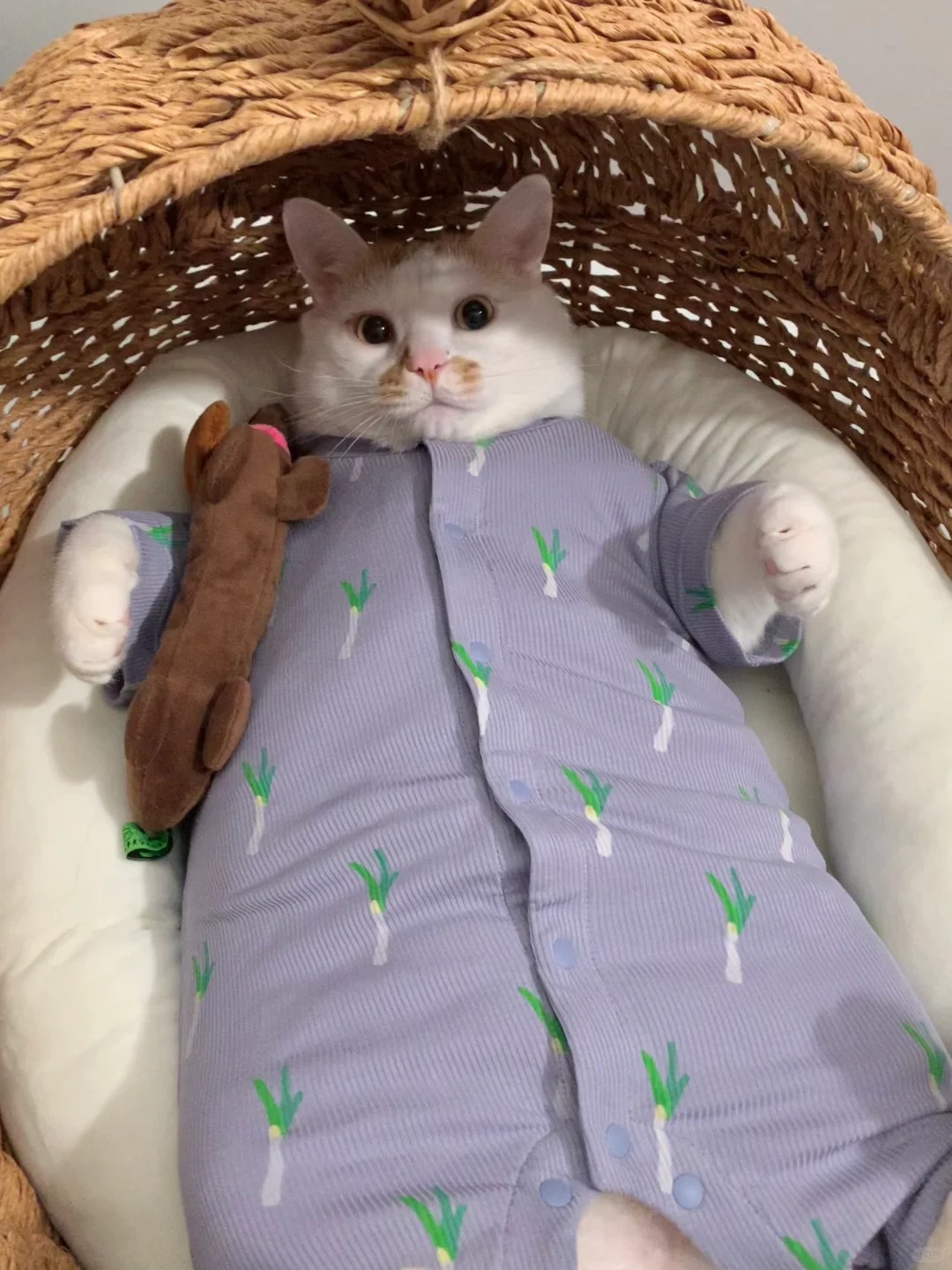 妈妈，你给我寄来的麻袋小猫，室友们都瞧不上
她们一口都不吸哇，只能我一个人吸了，