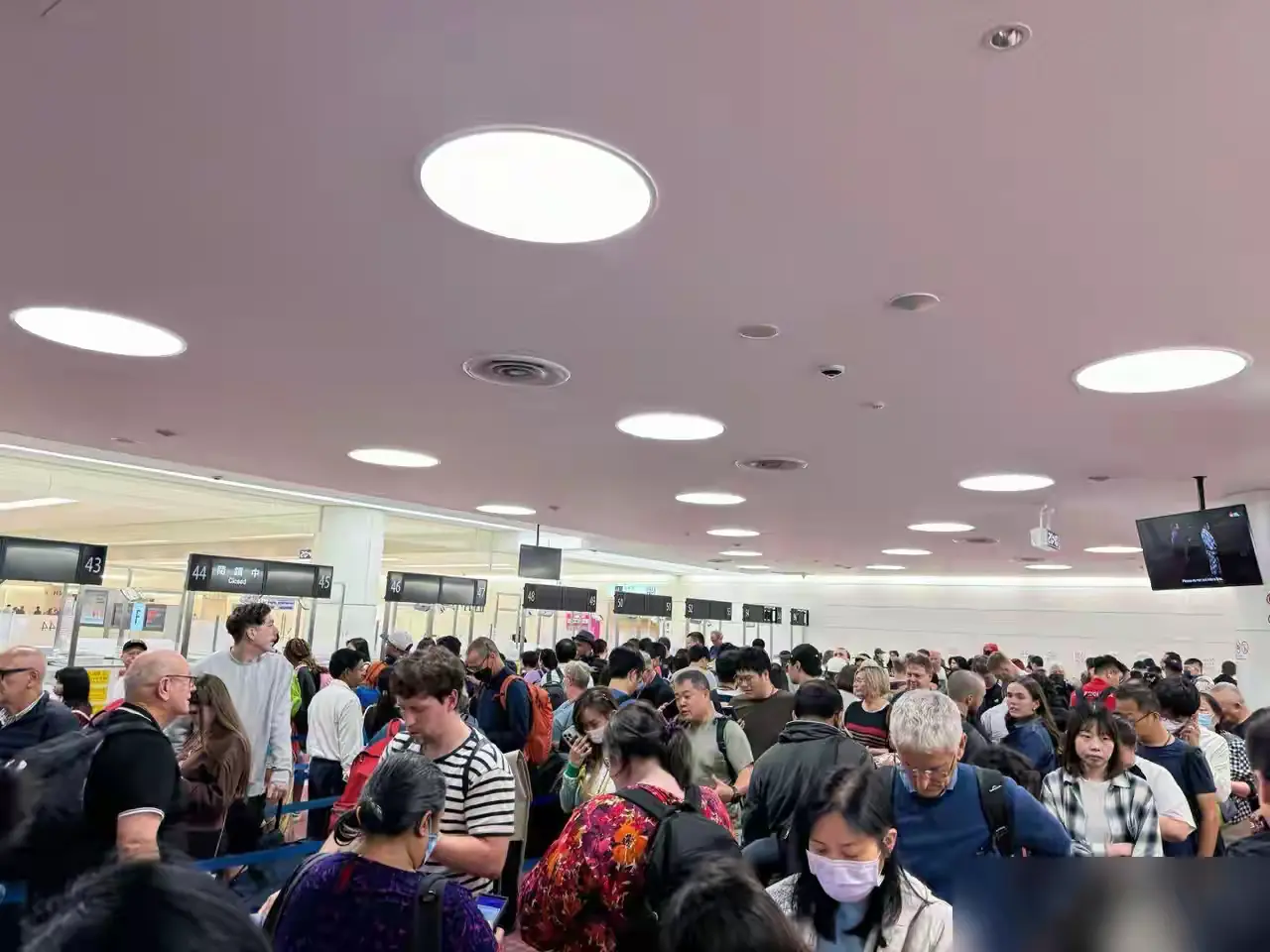 东京快被美国游客占领了

羽田机场入境，光排队入个关就排了快一个小时，而且目测北