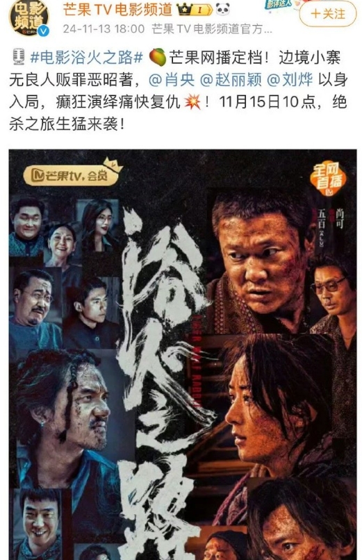 赵丽颖《浴火之路》网播