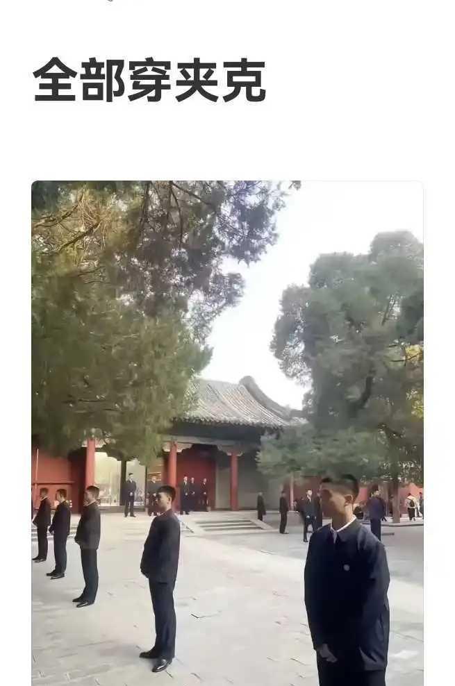 这特么是夹克？
