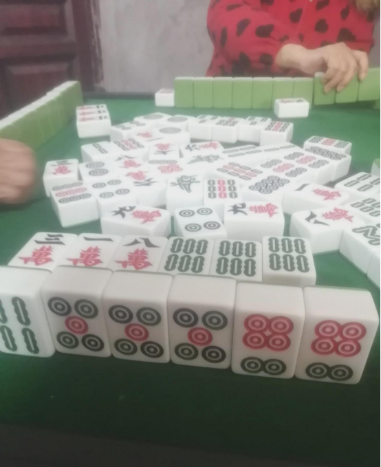 回家十二天，总共打了三场麻将，输钱了，唉，本来想赢点路费回家，现在好了，路费全没