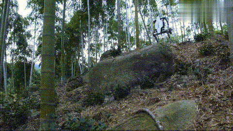 中国机器狗再进化：踩上“风火轮”，翻山越岭如履平地

近日，某中国民企发布了一款