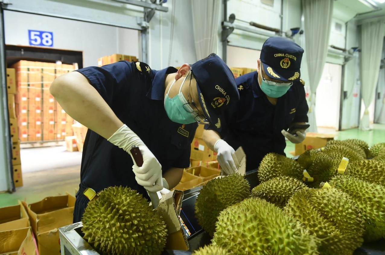 泰国榴莲检出致癌物被中国拒收

                        