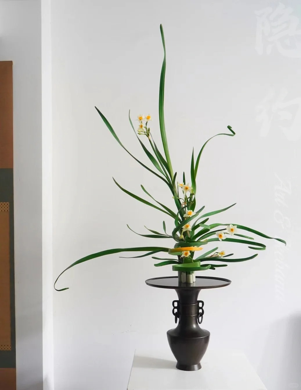 水仙一色，婷婷玉立