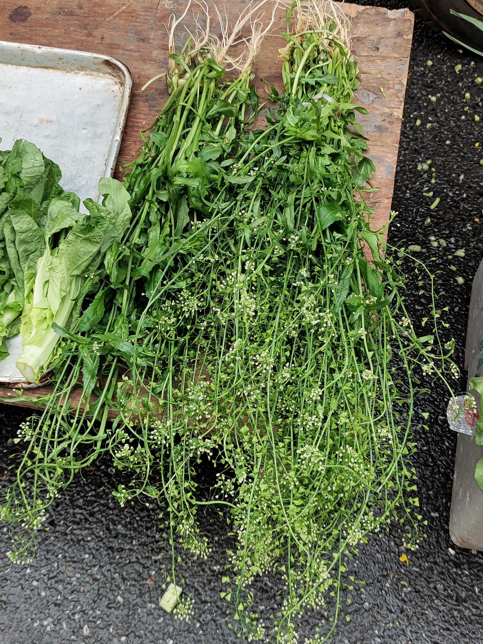 这是什么野菜？湖南#武冈# 早市拍到的。