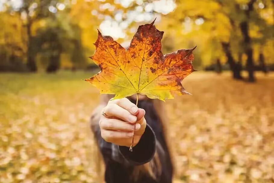 放过这位上海女老师吧，再这么下去，可能会把人逼死了，别在酝酿更大的悲剧了！
​刚