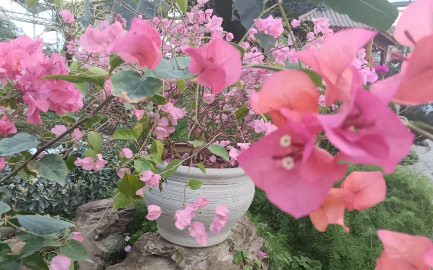 昨晚上一睡醒来，一看手机十二点，去上厕所，恰逢老公也在厕所，这次逮了个正着。我趁